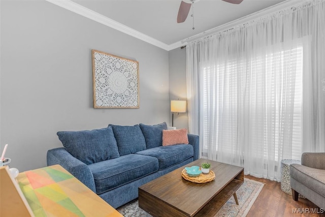 living room featuring ceiling fan, ornamental molding, and hardwood / wood-style floors