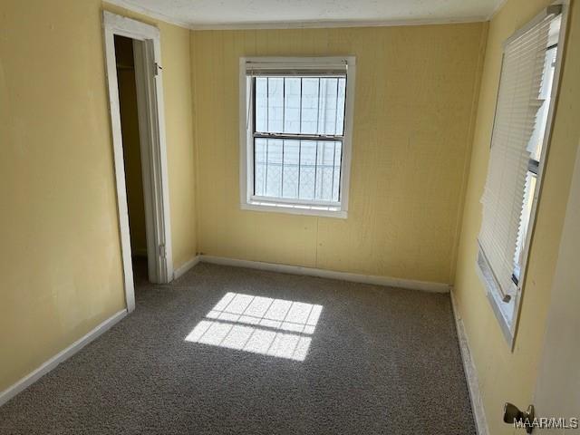 carpeted empty room with crown molding