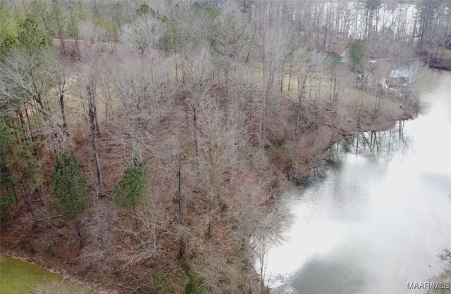 418 Cliffside Dr, Titus, AL 36080 - photo 4