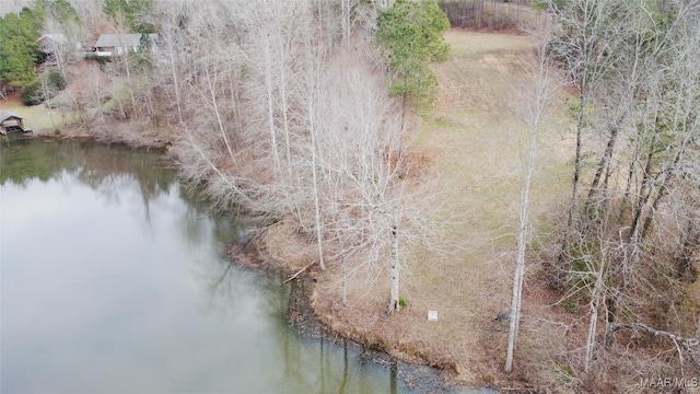 418 Cliffside Dr, Titus, AL 36080 - photo 5