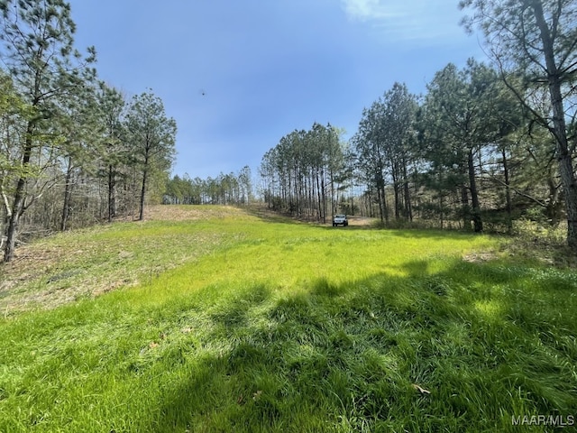 418 Cliffside Dr, Titus, AL 36080 - photo 6