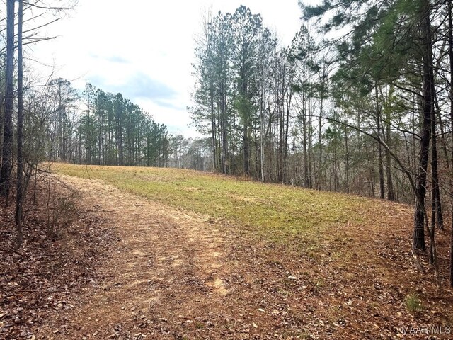 418 Cliffside Dr, Titus, AL 36080 - photo 7