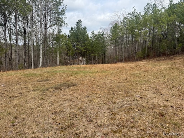 418 Cliffside Dr, Titus, AL 36080 - photo 8