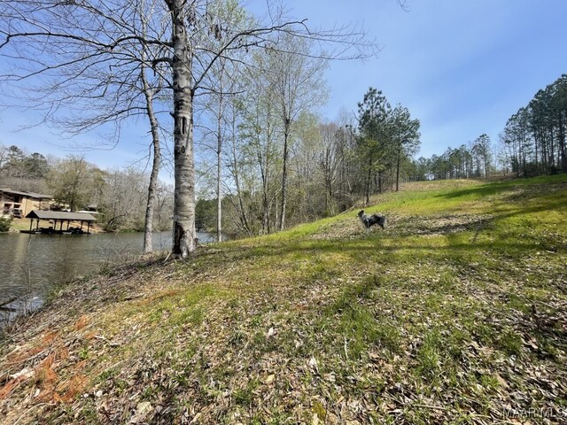 418 Cliffside Dr, Titus, AL 36080 - photo 9