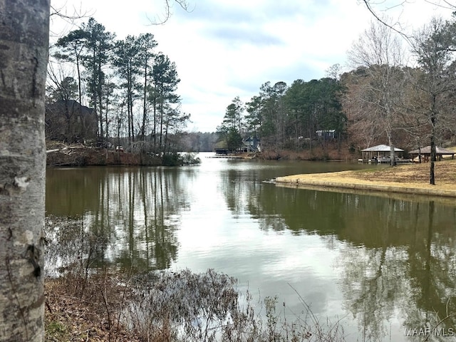 418 Cliffside Dr, Titus, AL 36080 - photo 10