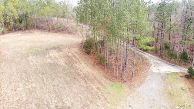 418 Cliffside Dr, Titus, AL 36080 - photo 11