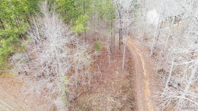 418 Cliffside Dr, Titus, AL 36080 - photo 12