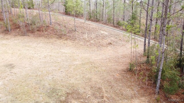 418 Cliffside Dr, Titus, AL 36080 - photo 13