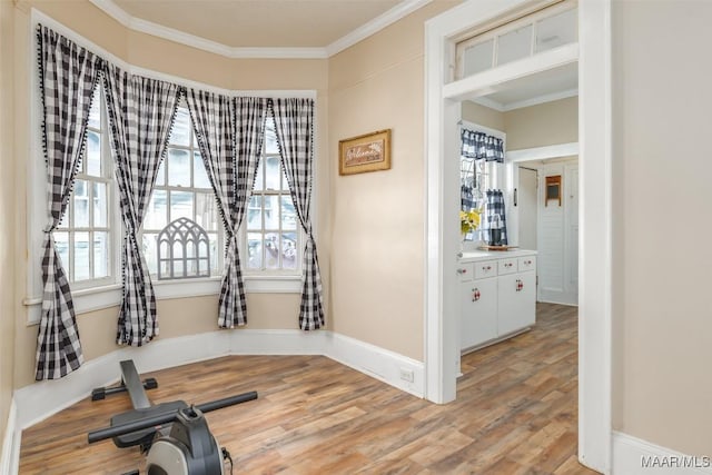 exercise room with hardwood / wood-style floors and crown molding