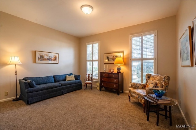 sitting room with carpet floors and baseboards