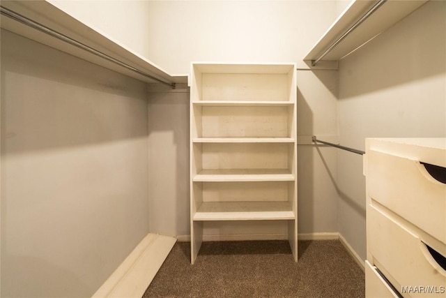 walk in closet with dark colored carpet