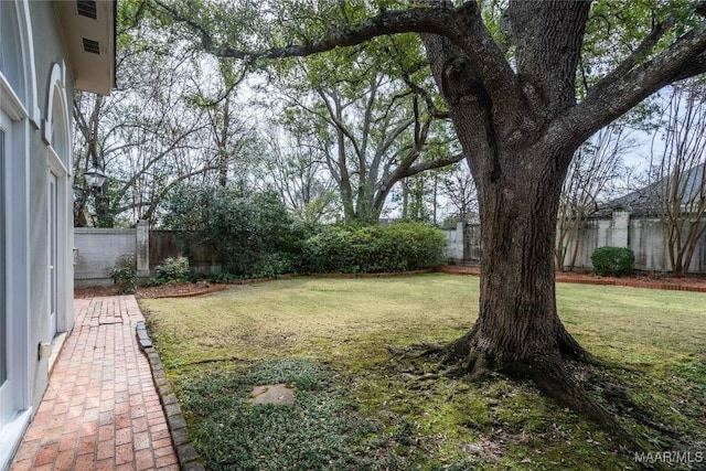 view of yard with a fenced backyard