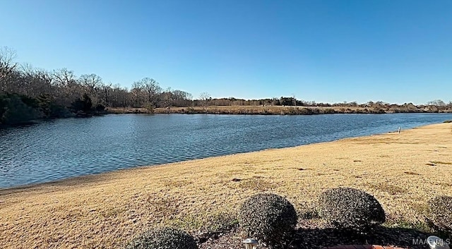 water view