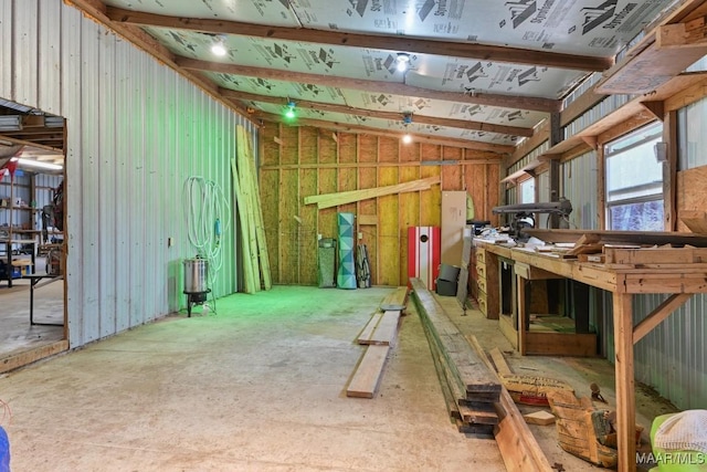 miscellaneous room featuring vaulted ceiling