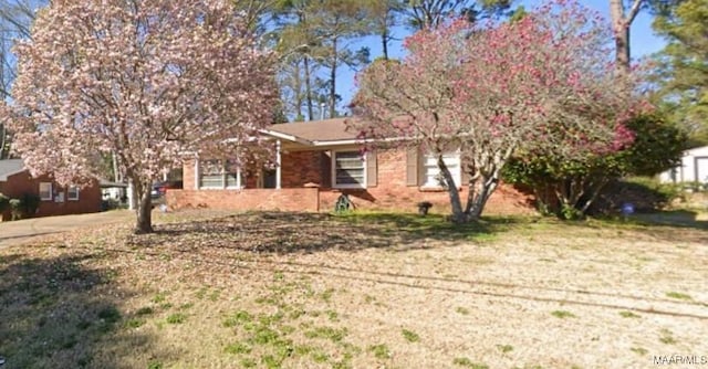 view of front of home with a front yard