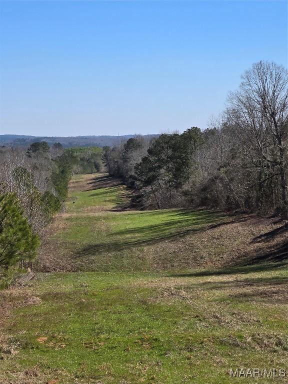 0 County Rd 38, Prattville, AL 36067 - photo 2