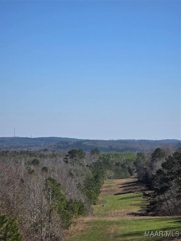 0 County Rd 38, Prattville, AL 36067 - photo 4