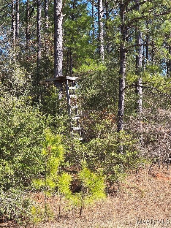 0 County Rd 38, Prattville, AL 36067 - photo 6