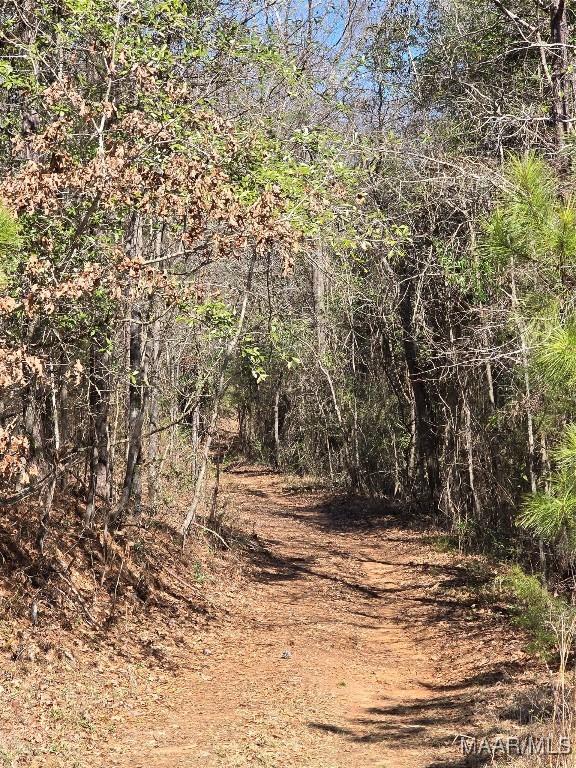0 County Rd 38, Prattville, AL 36067 - photo 7