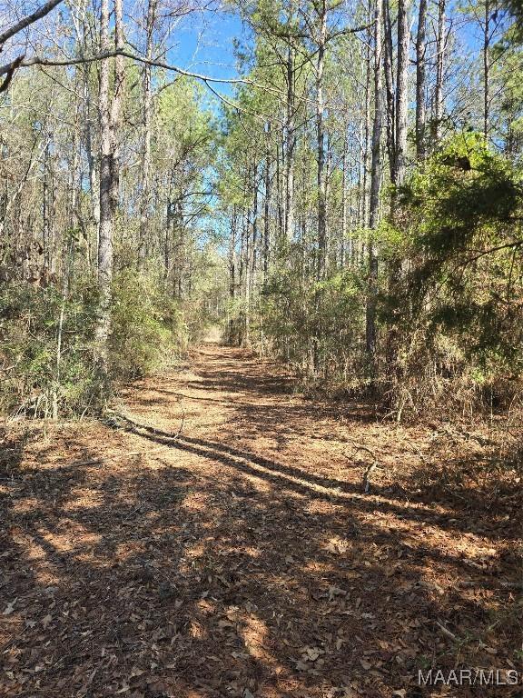 0 County Rd 38, Prattville, AL 36067 - photo 8