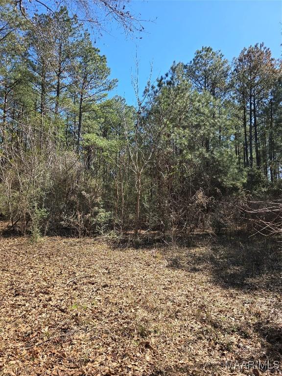 0 County Rd 38, Prattville, AL 36067 - photo 9