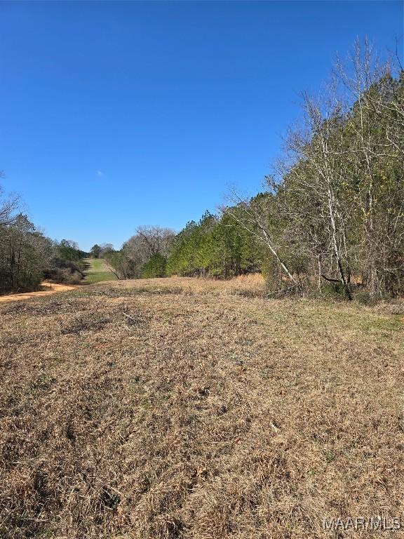 0 County Rd 38, Prattville, AL 36067 - photo 11