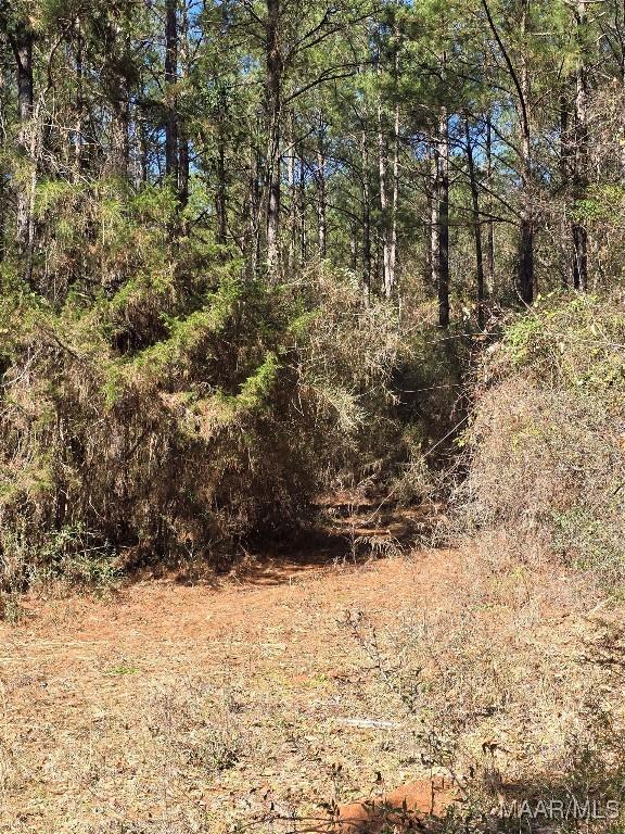 0 County Rd 38, Prattville, AL 36067 - photo 12