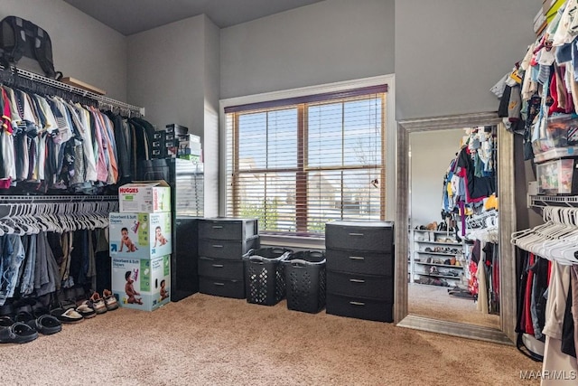 spacious closet with carpet floors