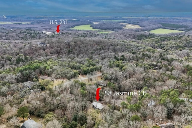 bird's eye view with a forest view