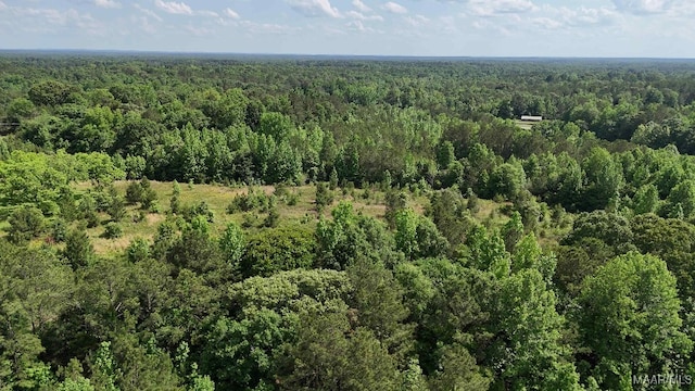 1380 Gautier St, Tuskegee, AL 36083 - photo 17