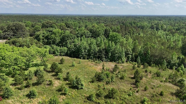 1380 Gautier St, Tuskegee, AL 36083 - photo 18