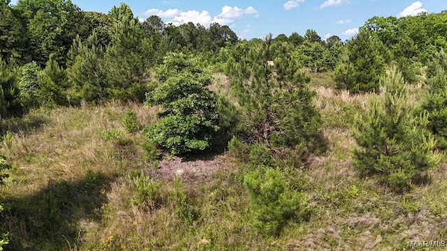 1380 Gautier St, Tuskegee, AL 36083 - photo 22