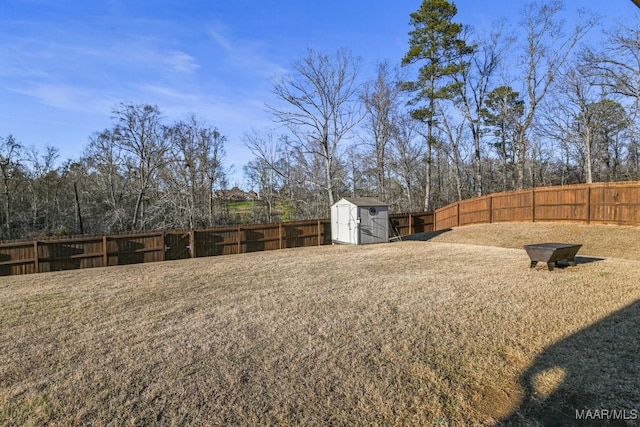 view of yard featuring a storage unit, an outdoor structure, and a fenced backyard