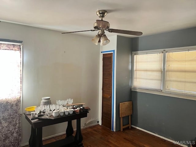 interior space featuring dark wood-style floors and ceiling fan