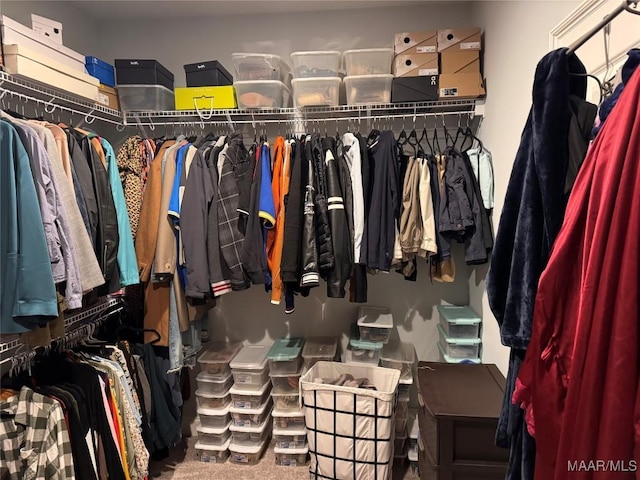 view of walk in closet