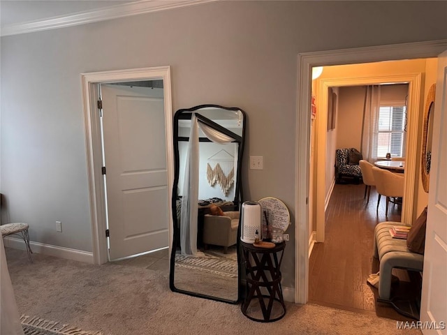 interior space featuring carpet, ornamental molding, and baseboards