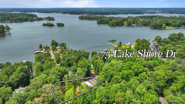 drone / aerial view with a water view and a forest view