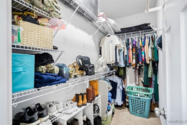 spacious closet featuring carpet flooring