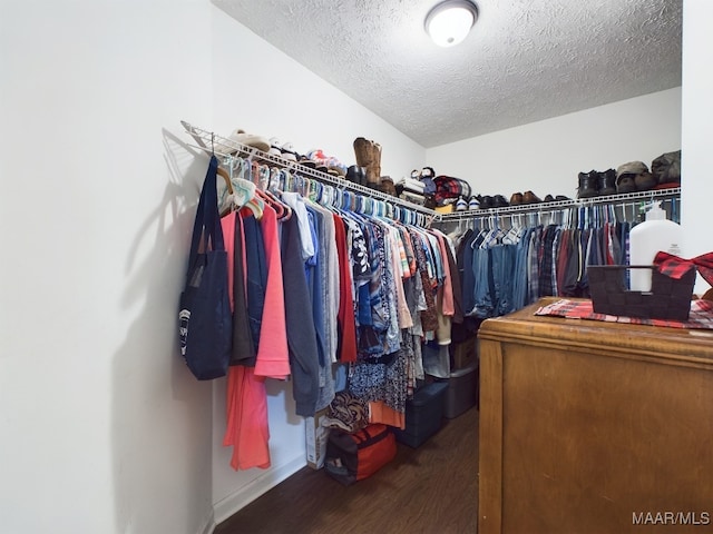 spacious closet with dark wood-style floors