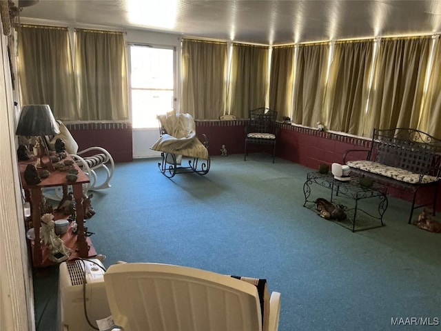 sitting room featuring carpet floors