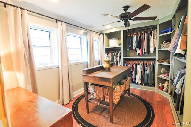 walk in closet featuring a ceiling fan and wood finished floors