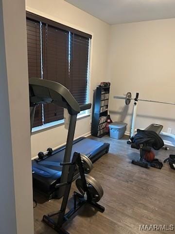 workout room featuring wood finished floors