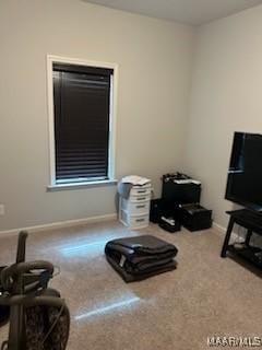 miscellaneous room with carpet and baseboards