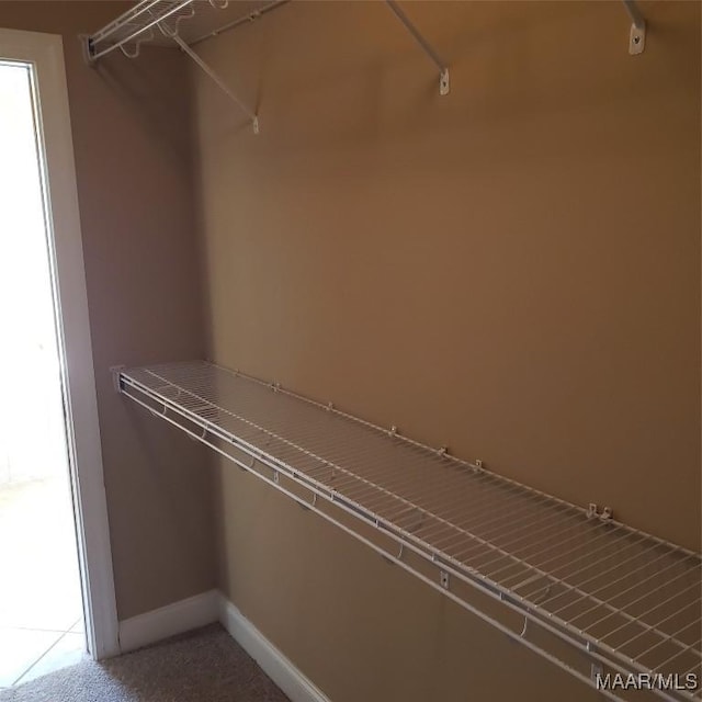 spacious closet featuring carpet floors