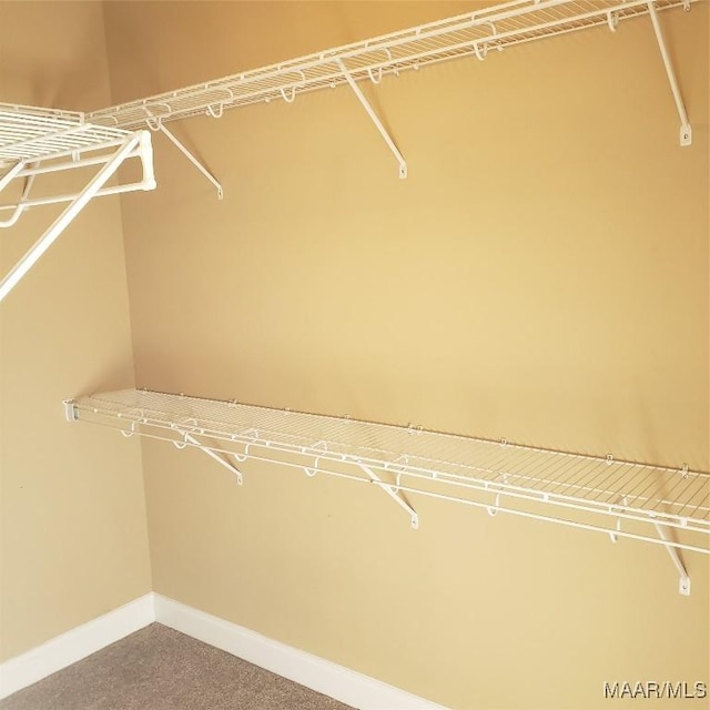 spacious closet featuring carpet flooring