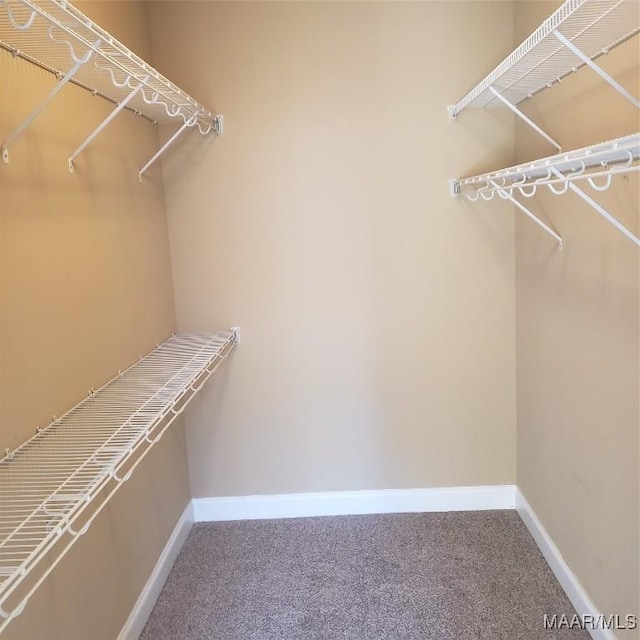 walk in closet featuring carpet flooring