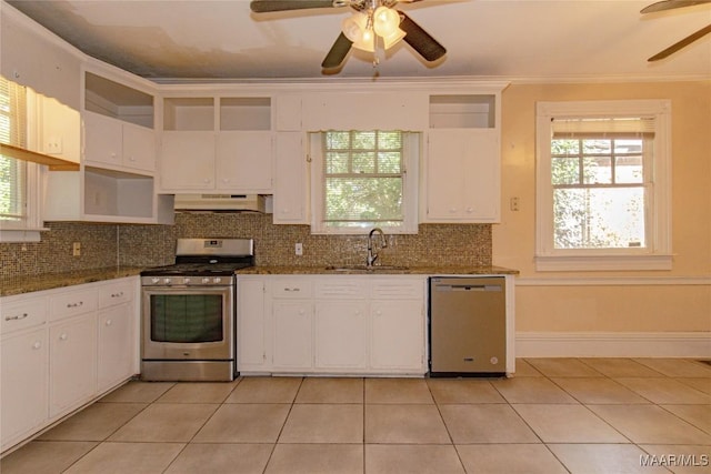 kitchen featuring under cabinet range hood, white cabinetry, stainless steel appliances, and a sink