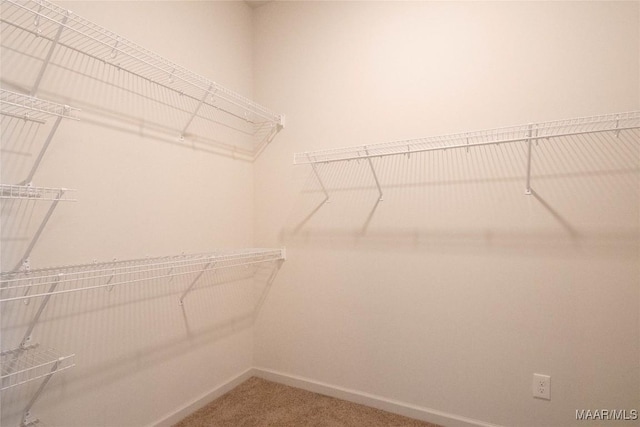 spacious closet with carpet flooring