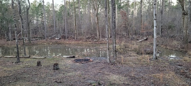 property view of water featuring a forest view