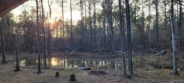 nature at dusk with a view of trees